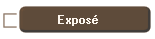 Expos�